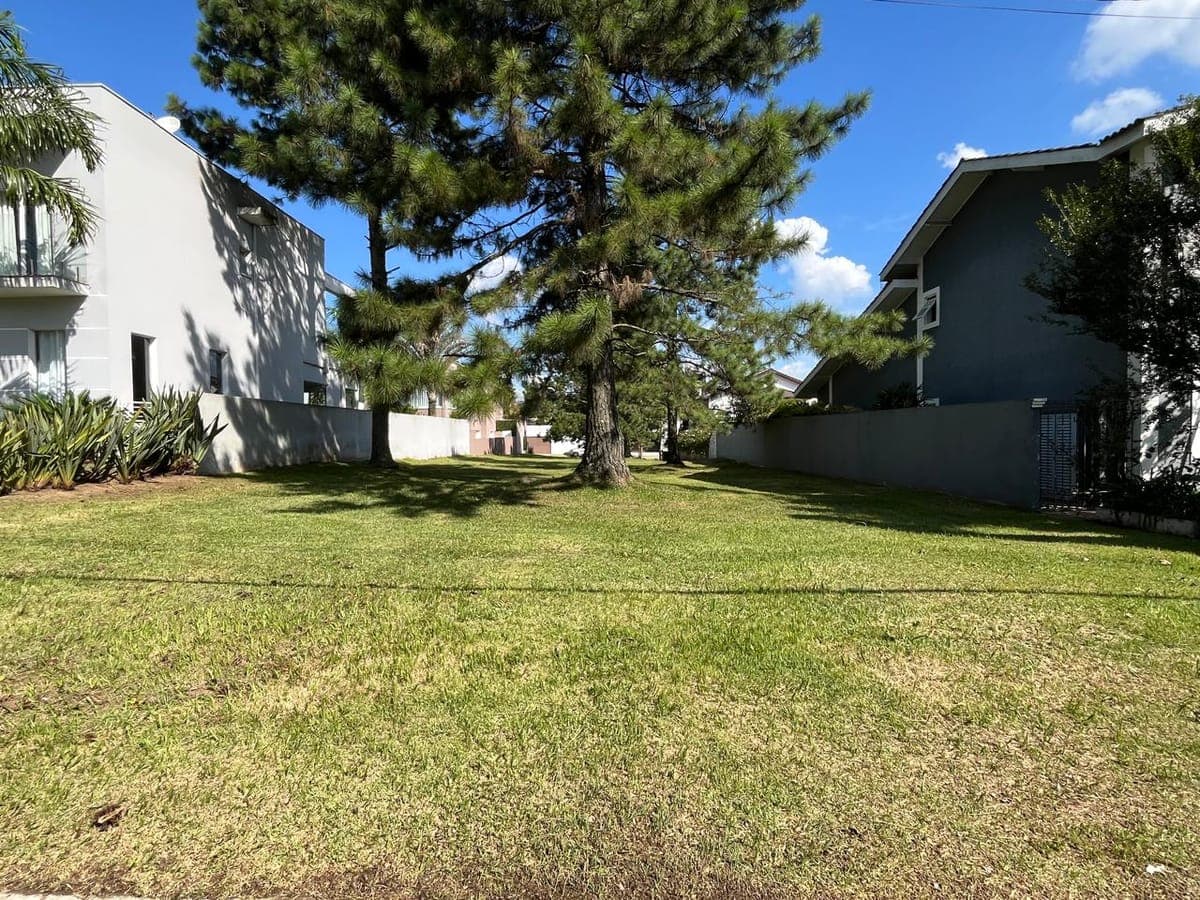Terreno gramado com pinheiros entre duas casas