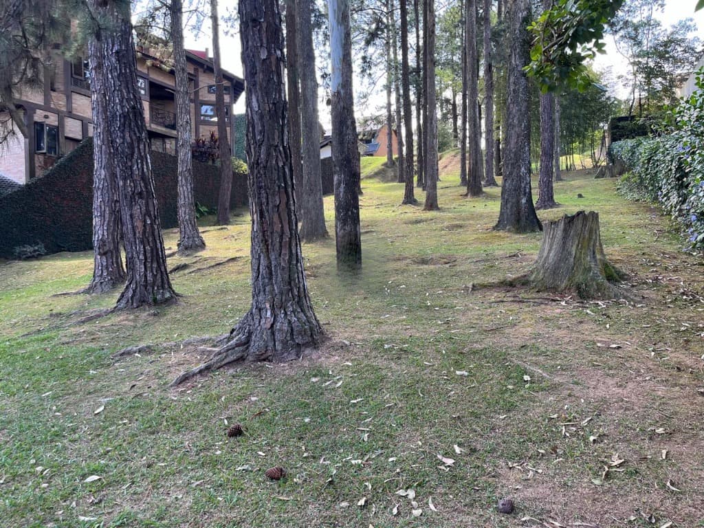Terreno com 800 m² em Aldeia da Serra, Barueri — foto 1 de 2